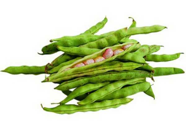 Frijo Verde en Vaina