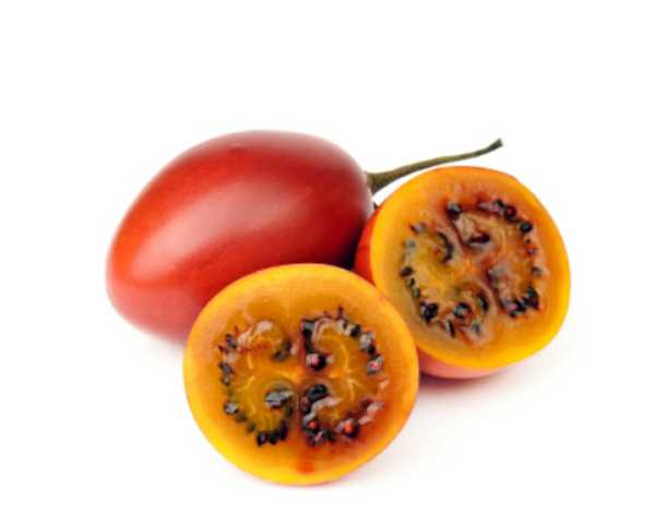 Tomate de Árbol Injerto (4 und X Lb aprox)