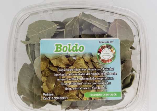 Boldo