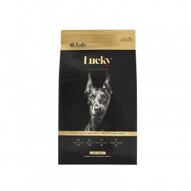 Lucky Adultos Raza Grande x 2 ...