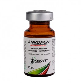 Berbeel Homaccord x Ampolla