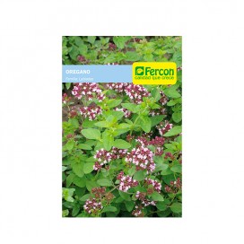 Semillas de Apio Tall Utah 20 Grs