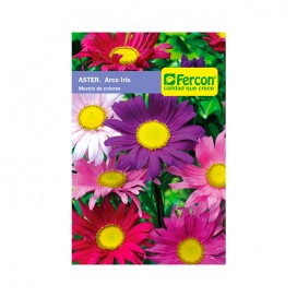 Rondel Jer 2 Ml