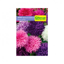 Rondel Jer 2 Ml
