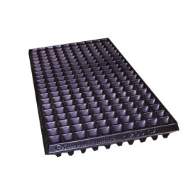 Semillas de Repollo 20 Gr