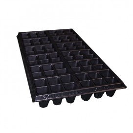 Semillas de Coltallos 20 Grs