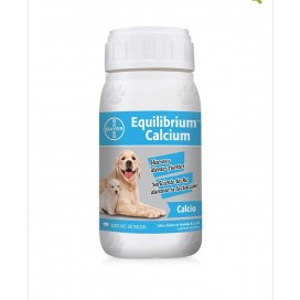 Equilibrium Calcio