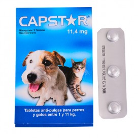 Bismo-Pet 120 Ml