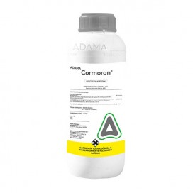 Semillas de Ahuyama 5 Grs