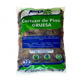 Semillas de Pepino Poinsett 76 20 Grs