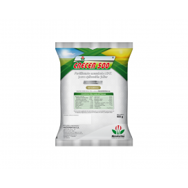 Semillas de Acelga Large W Ribbet 7 Grs