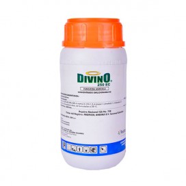 Dextrosa 5% - 500 Ml