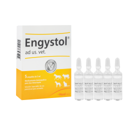 Engystol X Ampolla