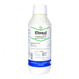 Dextrosa 5% - 500 Ml