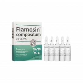 Flamosin Compositum x Ampolla