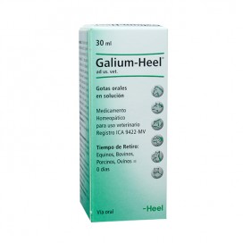 Galium Gotas 30 Ml