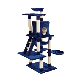 Recolector de Frutas