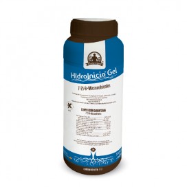 Semillas de Salvia 0.2  Gr