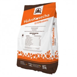 Detrosa 10% Bolsa 500 Ml