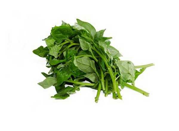 Espinaca criolla