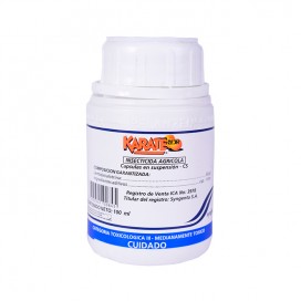 Semillas de Cilantro Long Standing 20 Grs