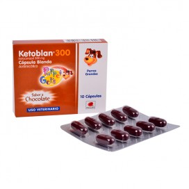 Comedero/Bebedero Tasty