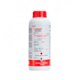 Semillas de Menta de Gato 0.3 Gr