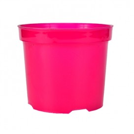 Semillas de Pepino 20 Grs