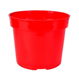 Semillas de Sandia Fairfax Rayada 20 Grs