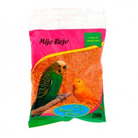 Petys Paños Húmedos + Shampo...