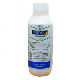 Semillas de Aromática Eneldo 1 Grs