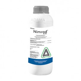 Semillas de Aromática Romero 0.5 Grs