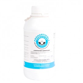 Semillas de Cilantro Long Stading 20 Gr