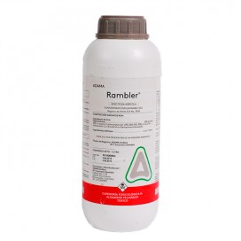 Semillas de Flor Dalia 0.5 Grs