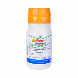 Semillas de Flor Dalia Pompon 0.5 Grs