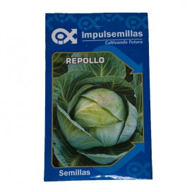 Clavos Mágicos Follaje