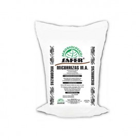 Compleland B12 - 100 Ml