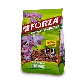Cabano  150 Gr