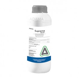 Semillas de Verbena Flor Grande 0.5 Gr