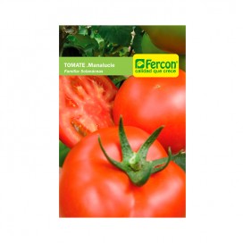 Semillas de Maíz Amarillo 1 kg