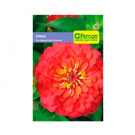 dermicina Crema 30 Gr