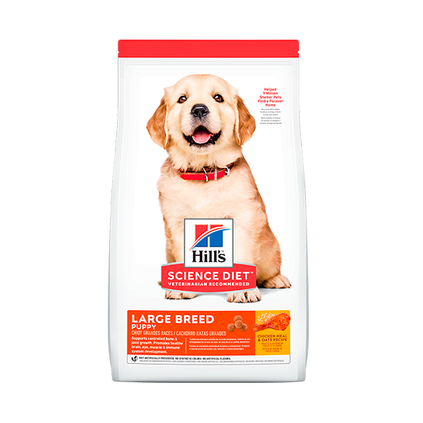 Hills Canine Puppy Large Breed x 30 lb