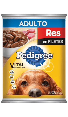 Pedigree Adulto carne (Alimento Húmedo) Lata x 375 gr