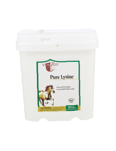 Pure Lysine x 4 Libras Powder