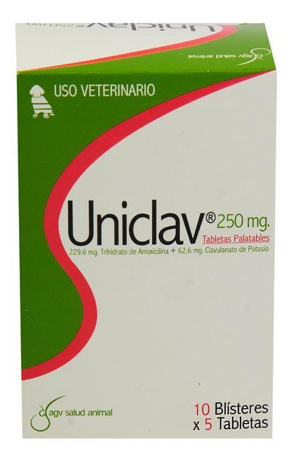 Uniclav 500 mg Blister (5 Tabletas)