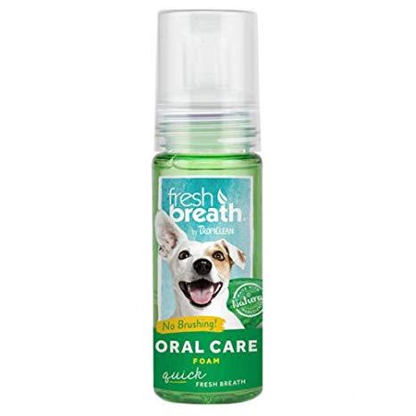 Fresh Breath Foam