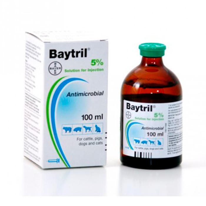 Baytril 5% Inyectable x 100 ml