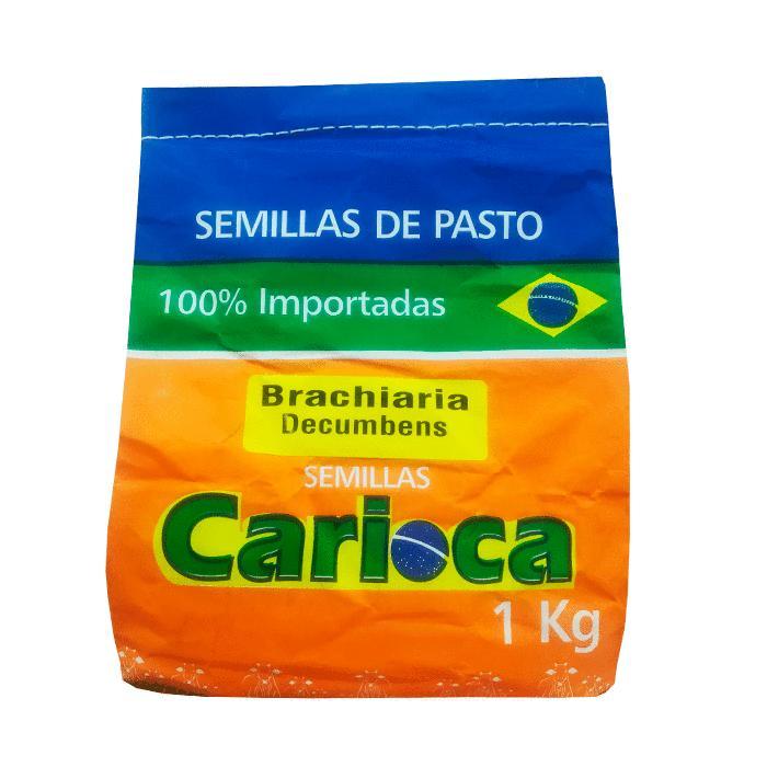 Semilla Brachiaria Decumbens x 1 kg