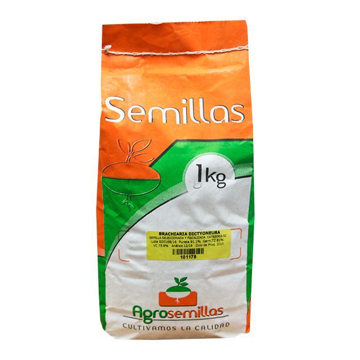 Semilla Brachiaria Dictyoneura x 1 kg