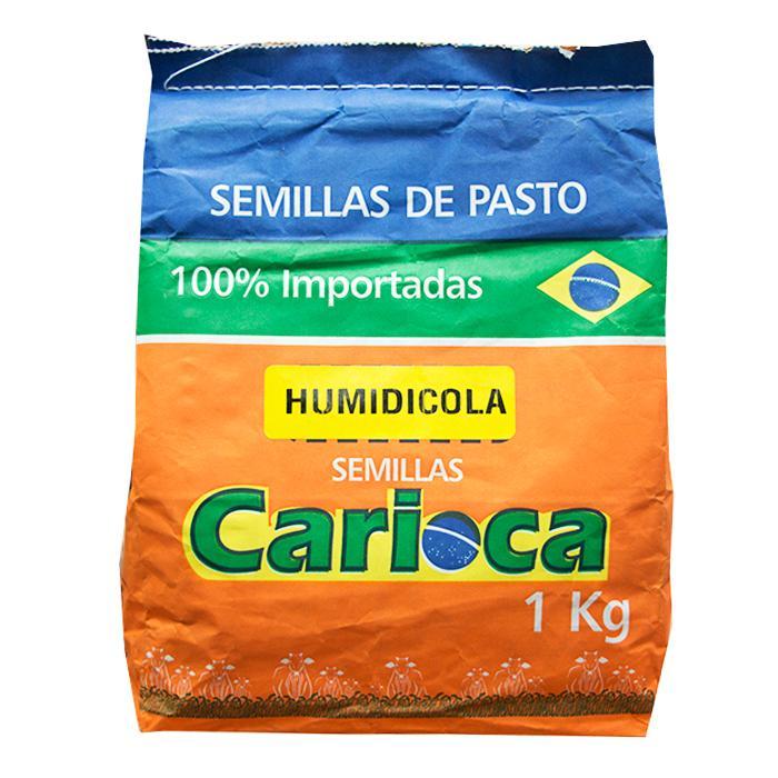 Semilla Brachiaria Humidicola x 1 kg